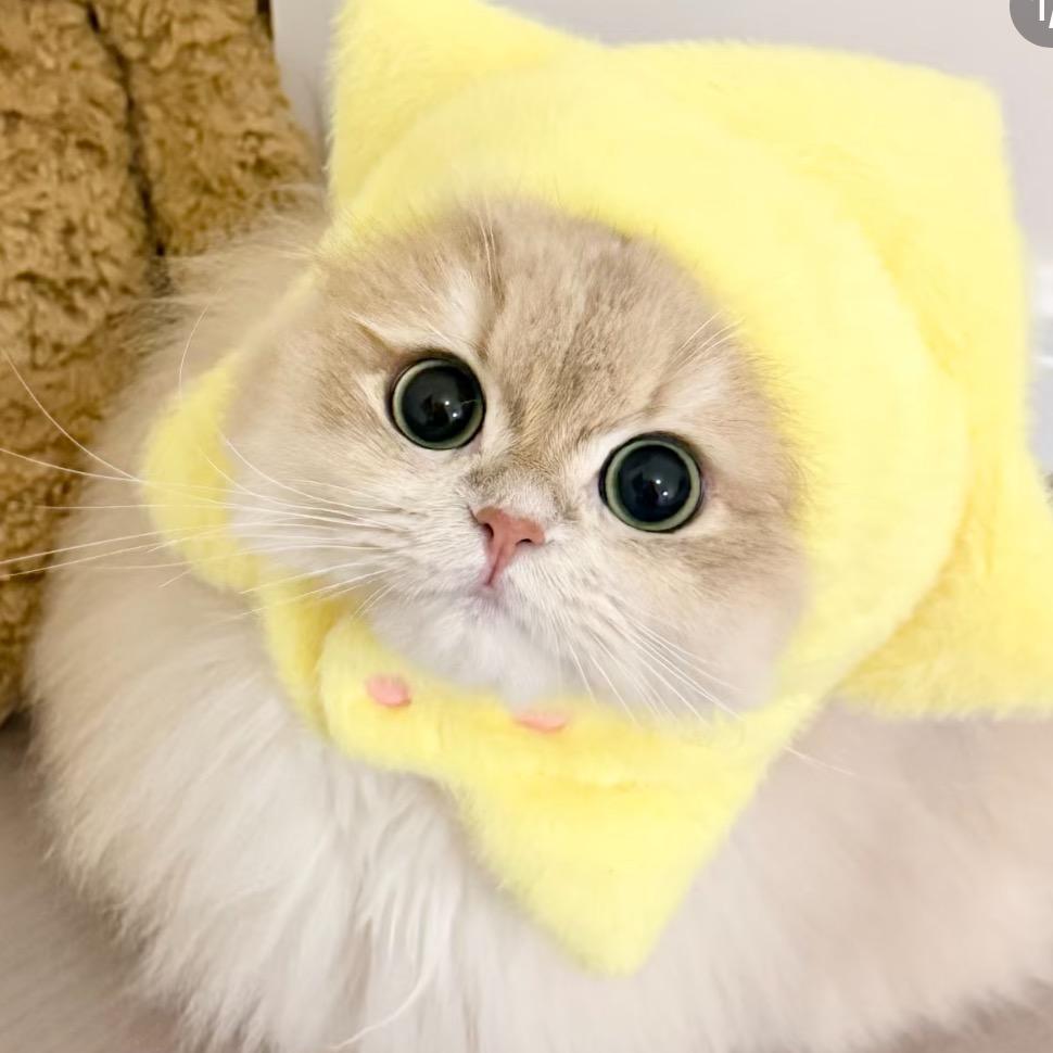 可乐不太甜