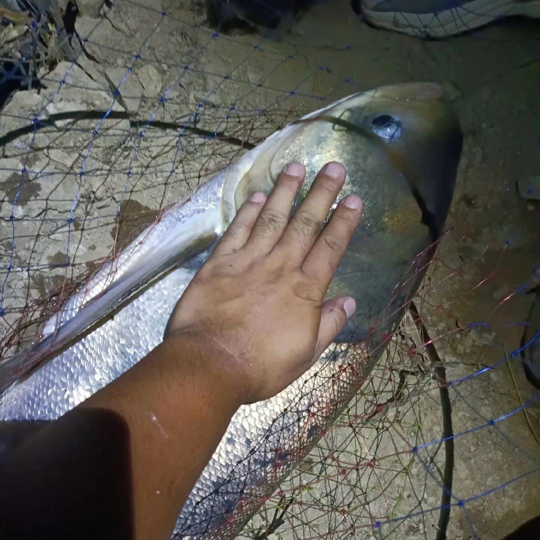 不空军户外好物