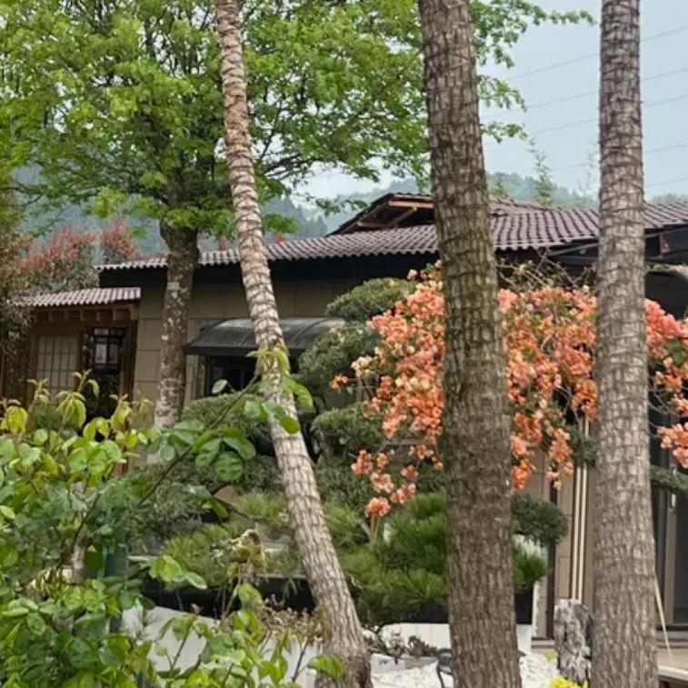 77號小院