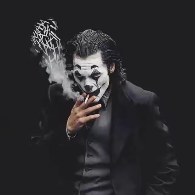 飞翔不在少年