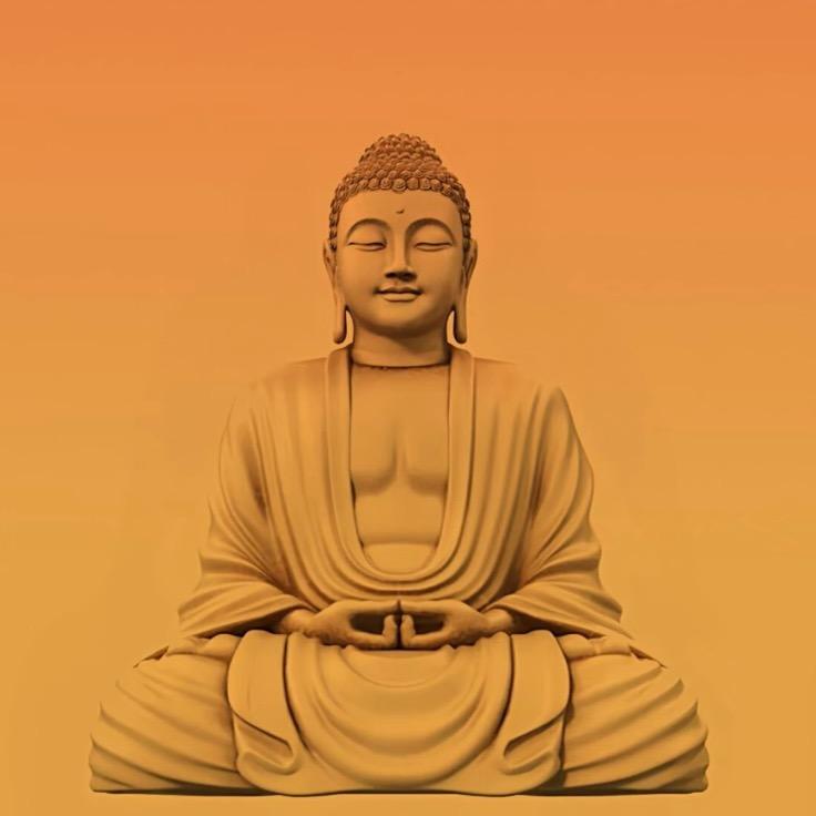 小陈🙃