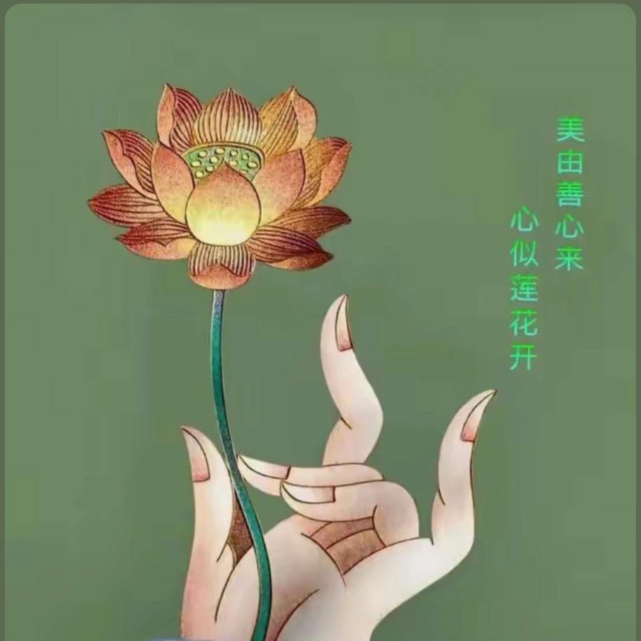 苑，米多