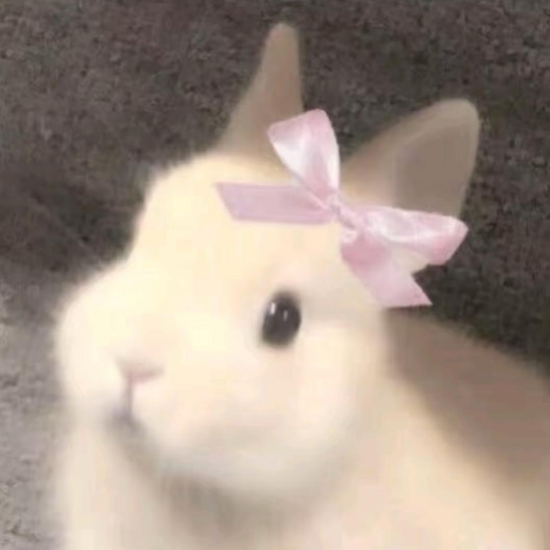 YᴗNing⌯