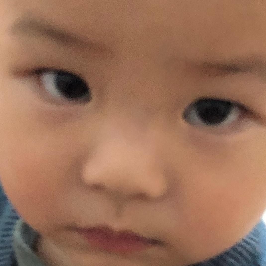 油尖旺金毛玲最怕有闪电