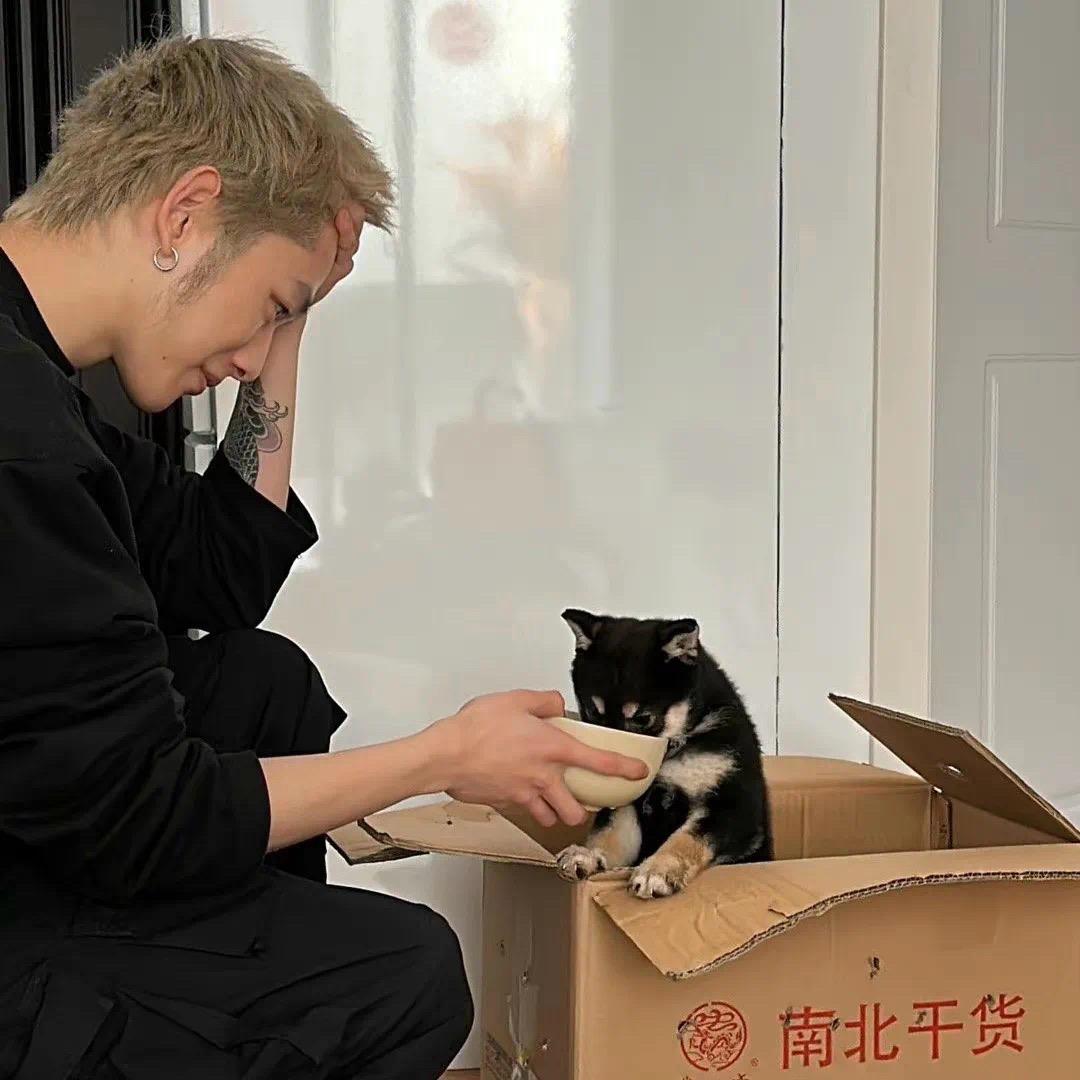 都灵之马