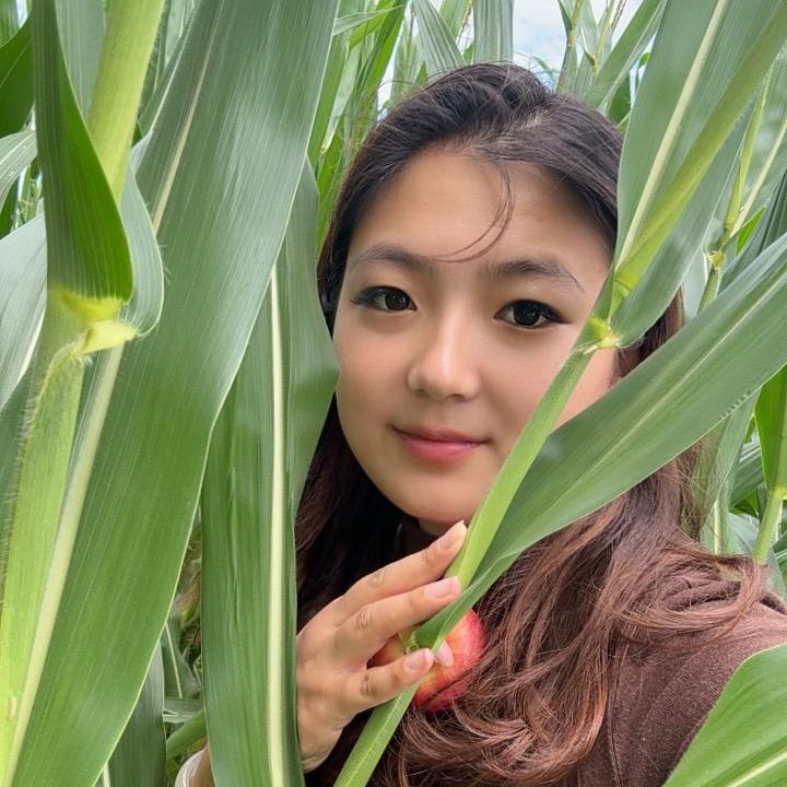 🍃⃝褚心࿆ྂ