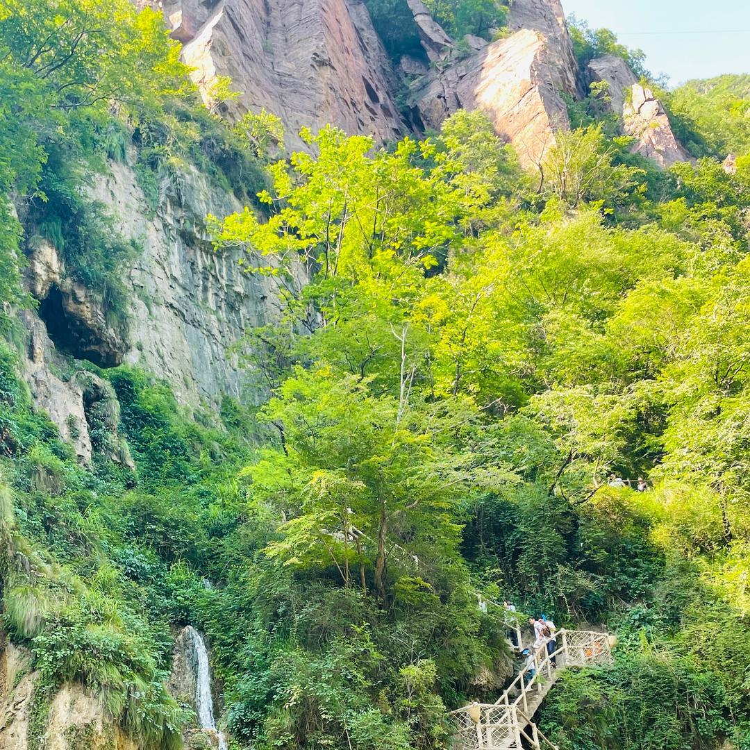 谨言 慎行