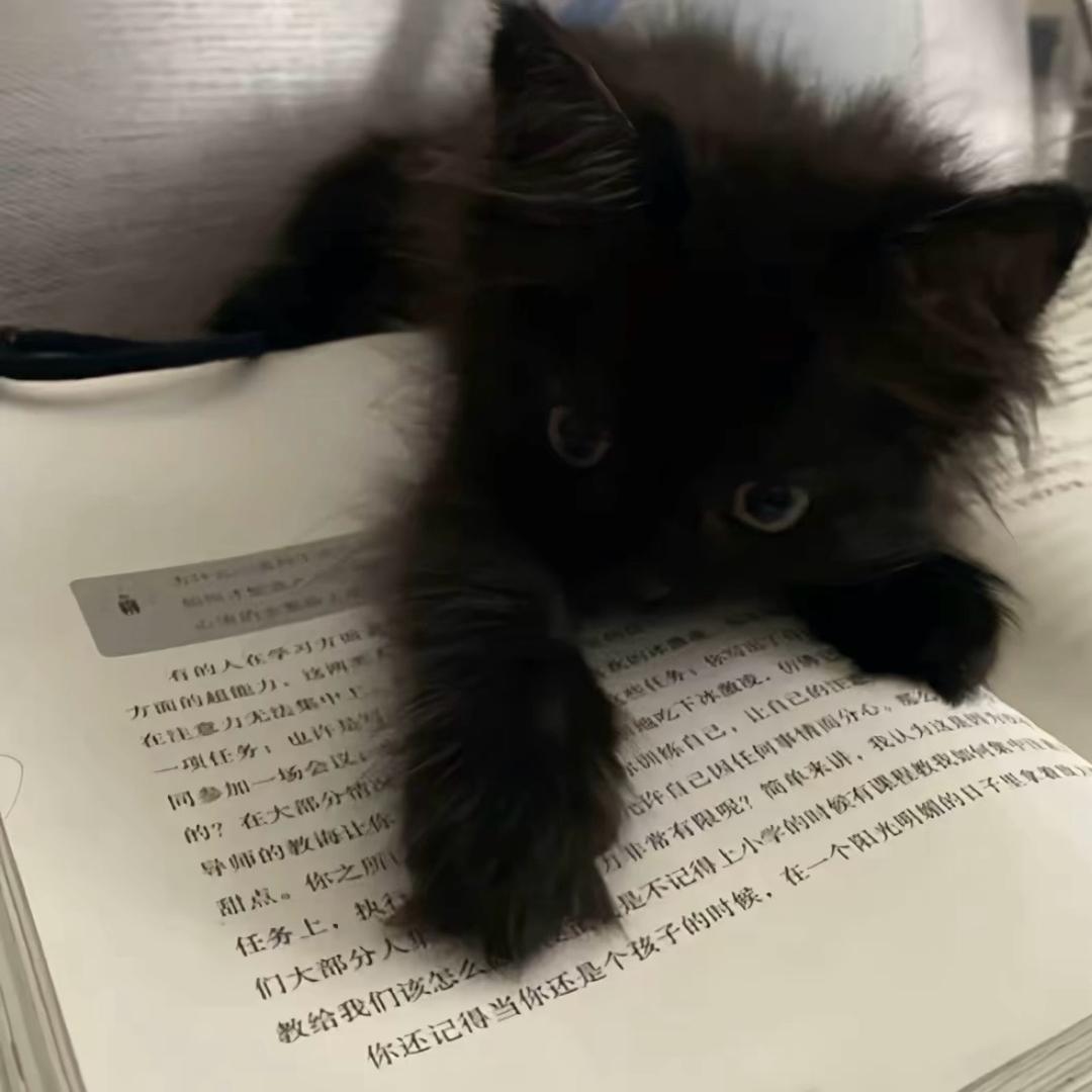 迷糊老师（三角洲行动）