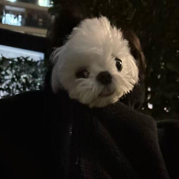 鸡蛋&汤达人😋