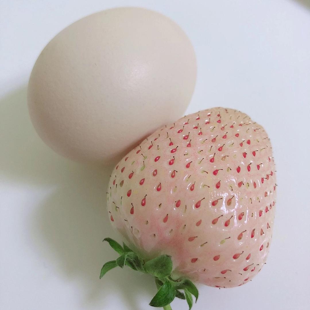 昱昱头爱搞白
