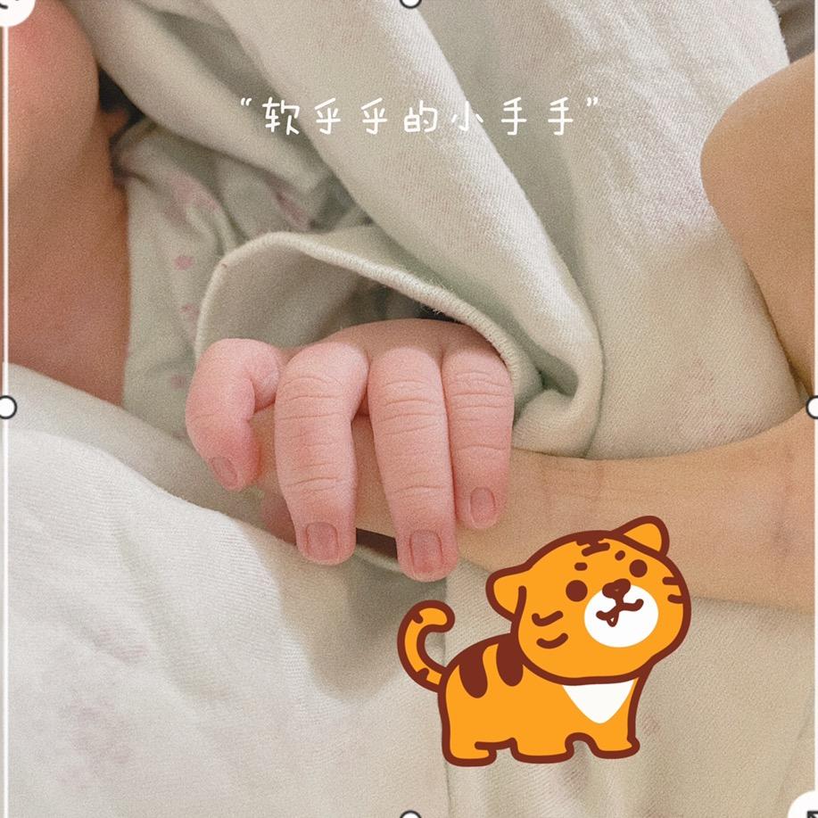 多肉丸儿