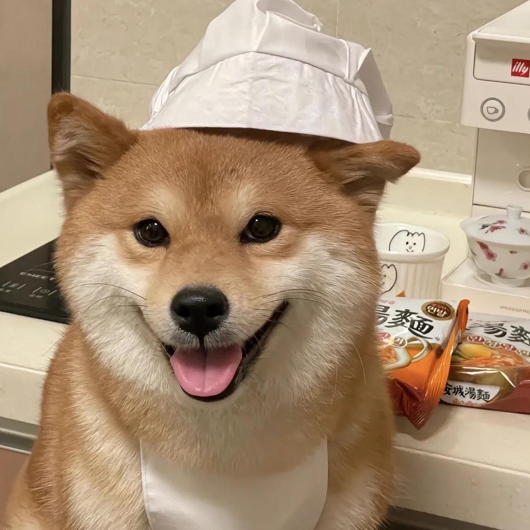 挺好宠物