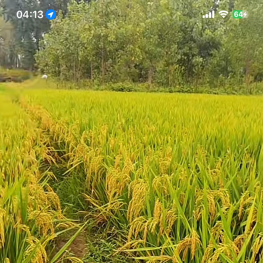 墨真优选