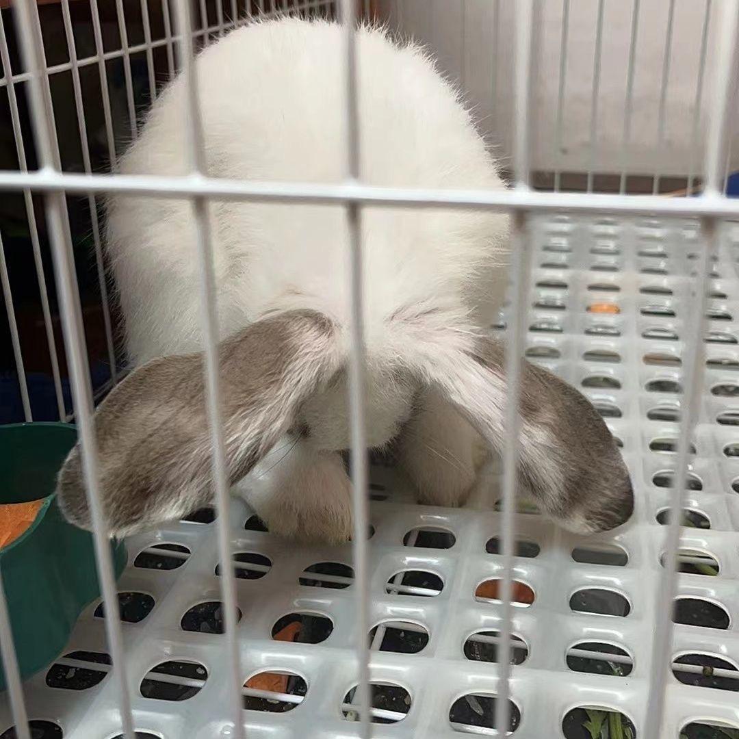 康晟笼具