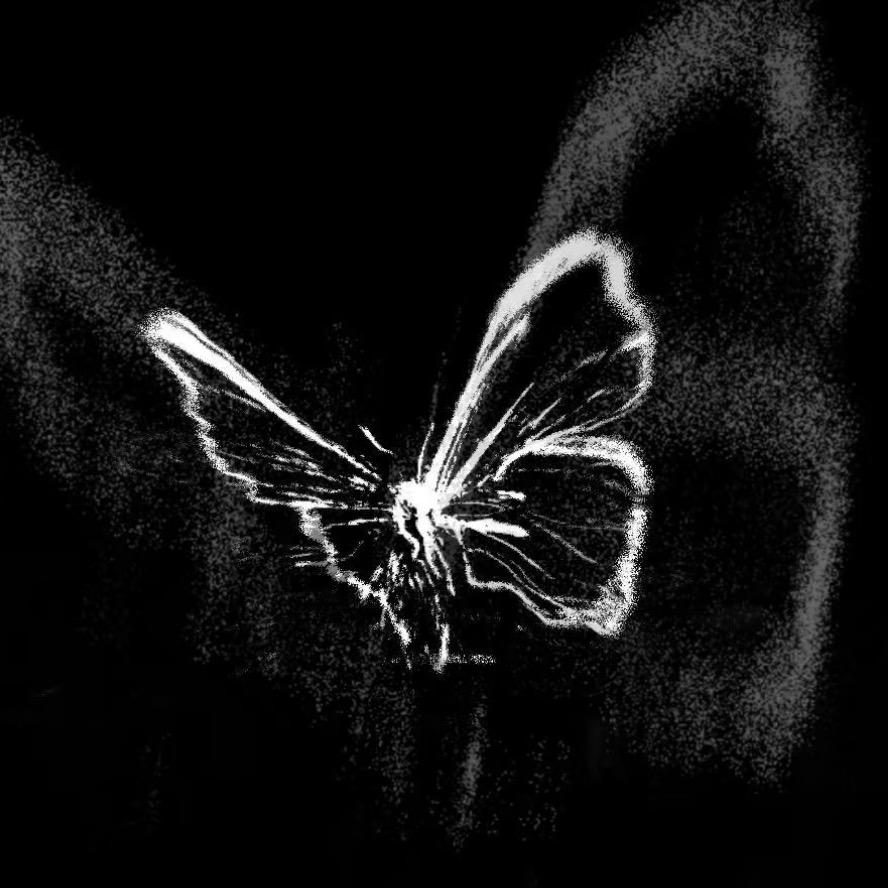 CC呐（小霖的小跟班）