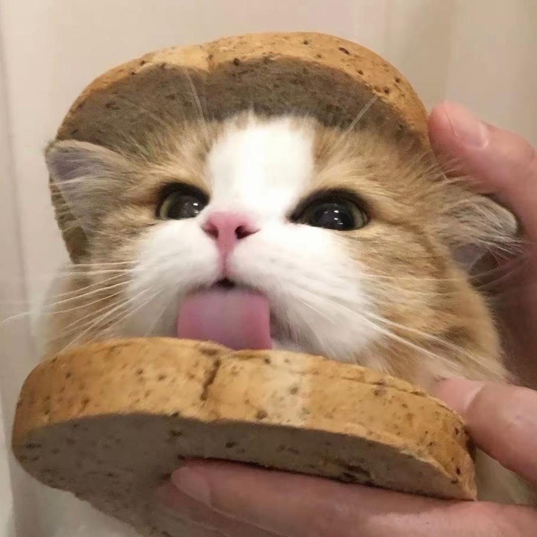一只小零食