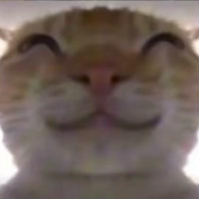火本卑