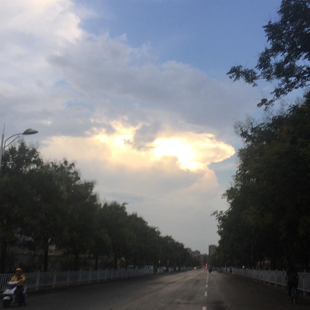 任尔东西南北风