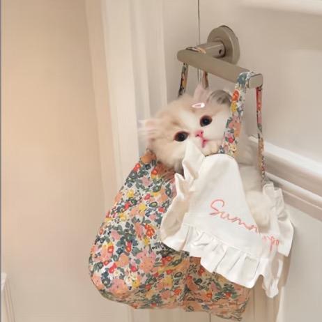 夜夜宝૮ ˙Ⱉ˙ ა