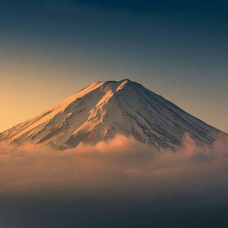 💤