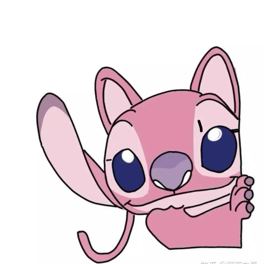 是仔不是崽（第三次正畸中）