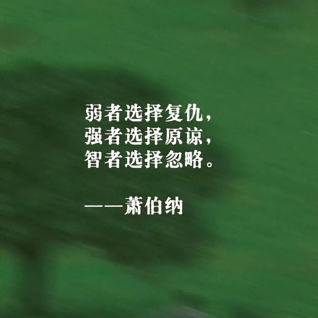 凯哥本凯