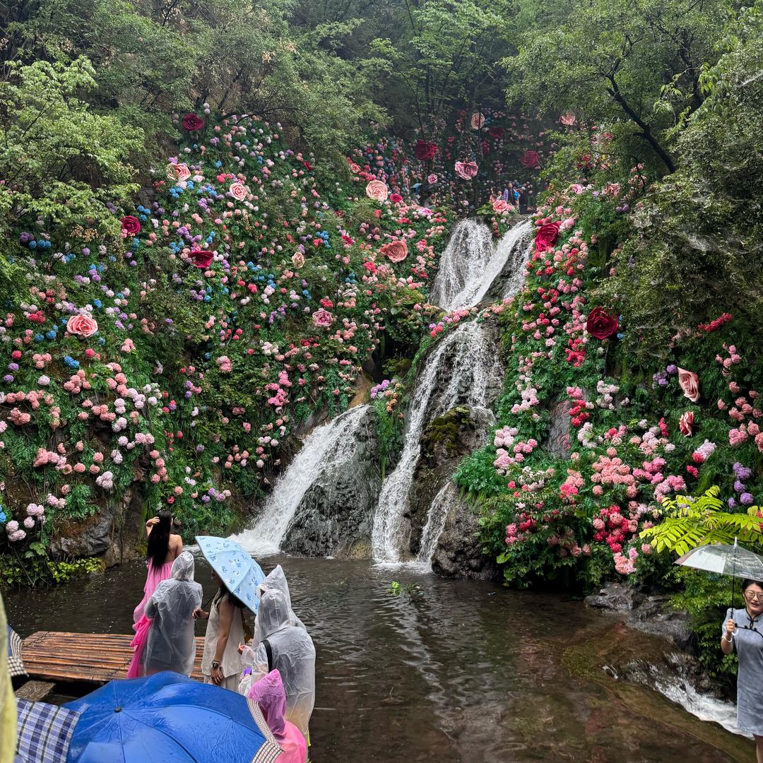 大晴子呀