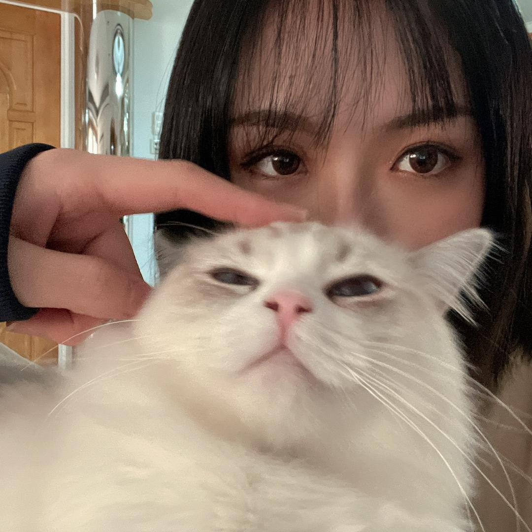 Livy_z