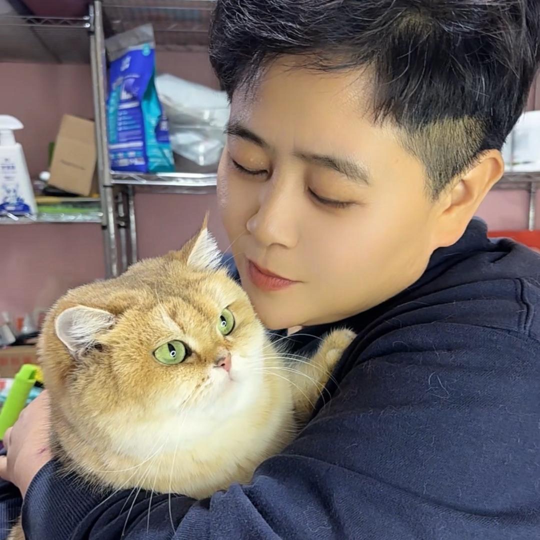 十万只猫狗的管家