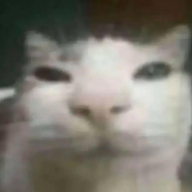 浮生生