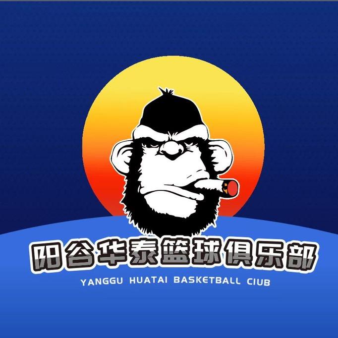 山东•阳谷华泰篮球🏀
