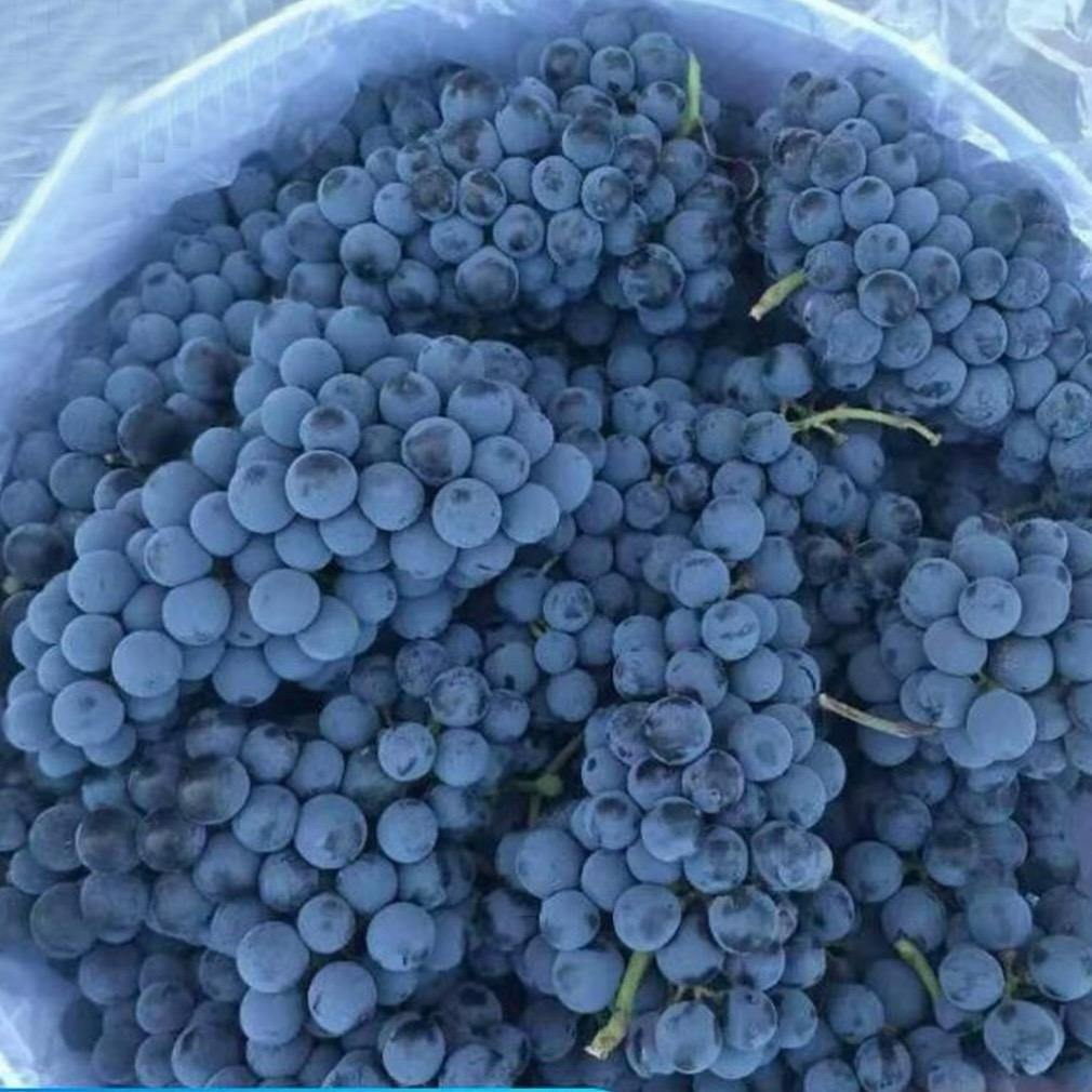 清🌬️伴🌧️