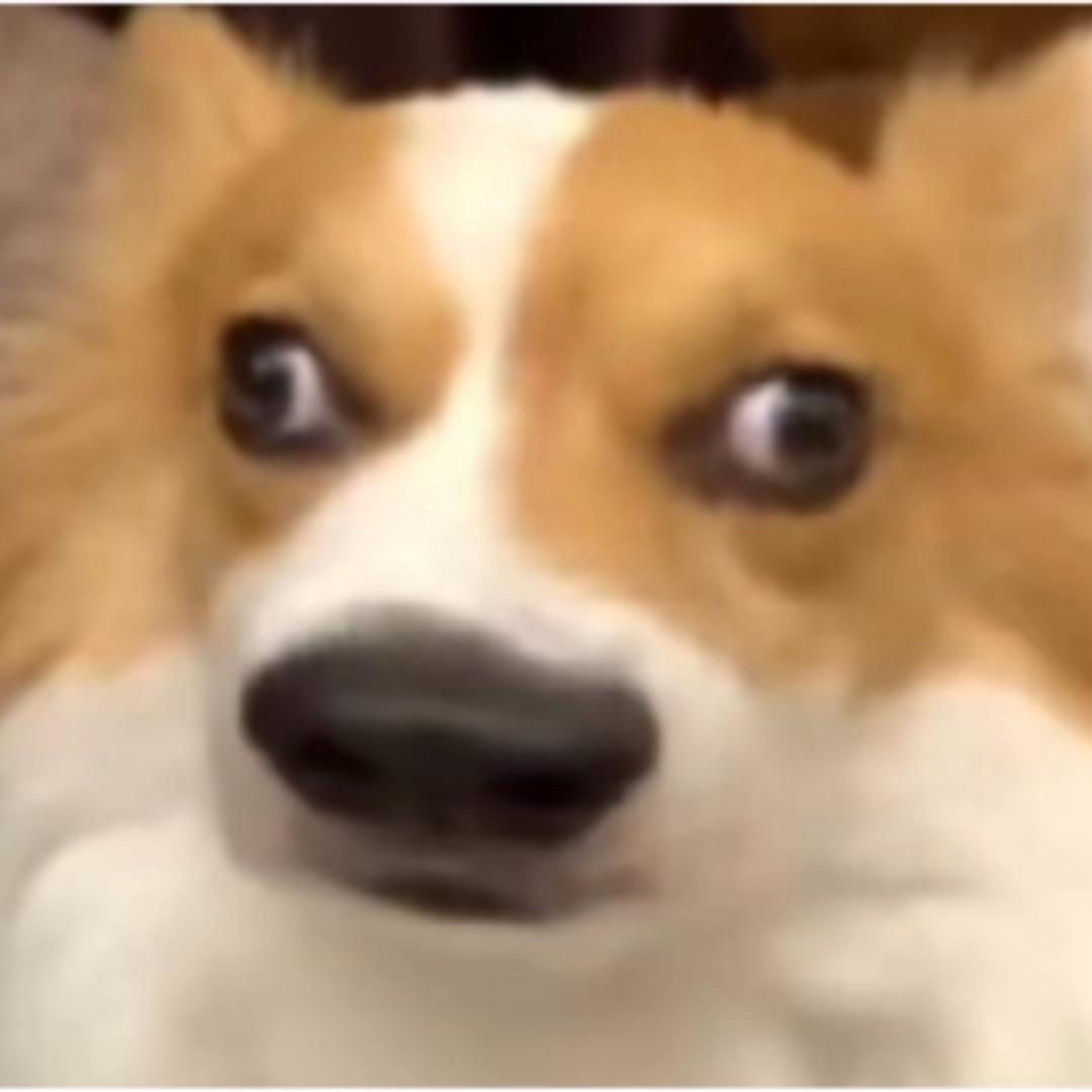 㓀缛燚溦淄嵇醪紐赑楽😀