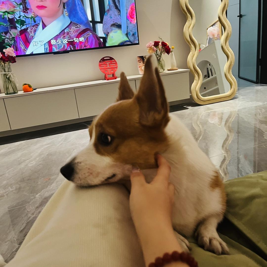 可心扣肉丸子