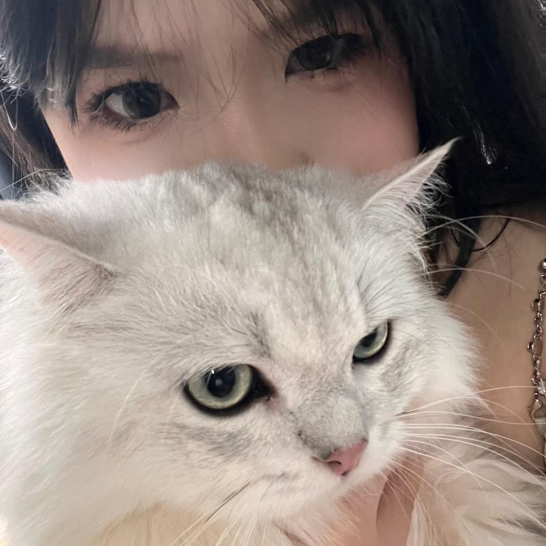 蛋蛋拆卡吖
