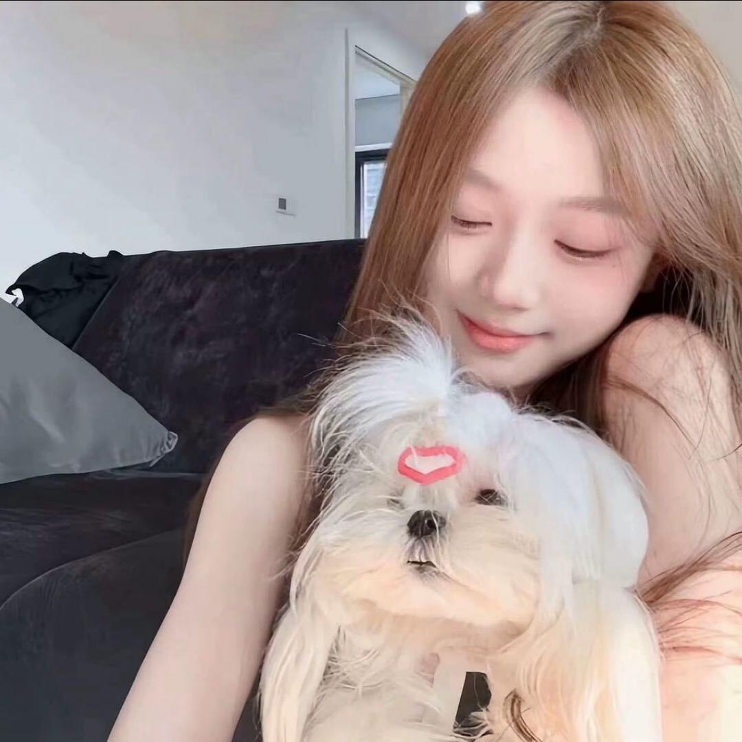 不吃芹菜🫧