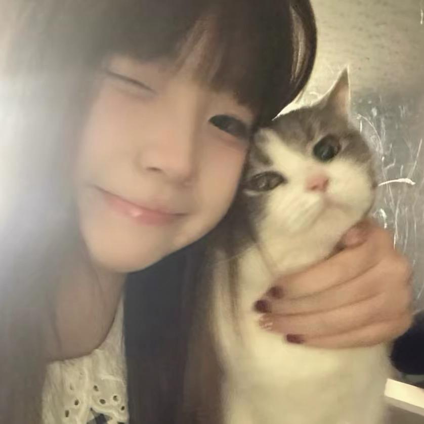 睡个好觉😴