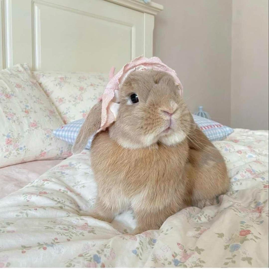 歪歪服装严选