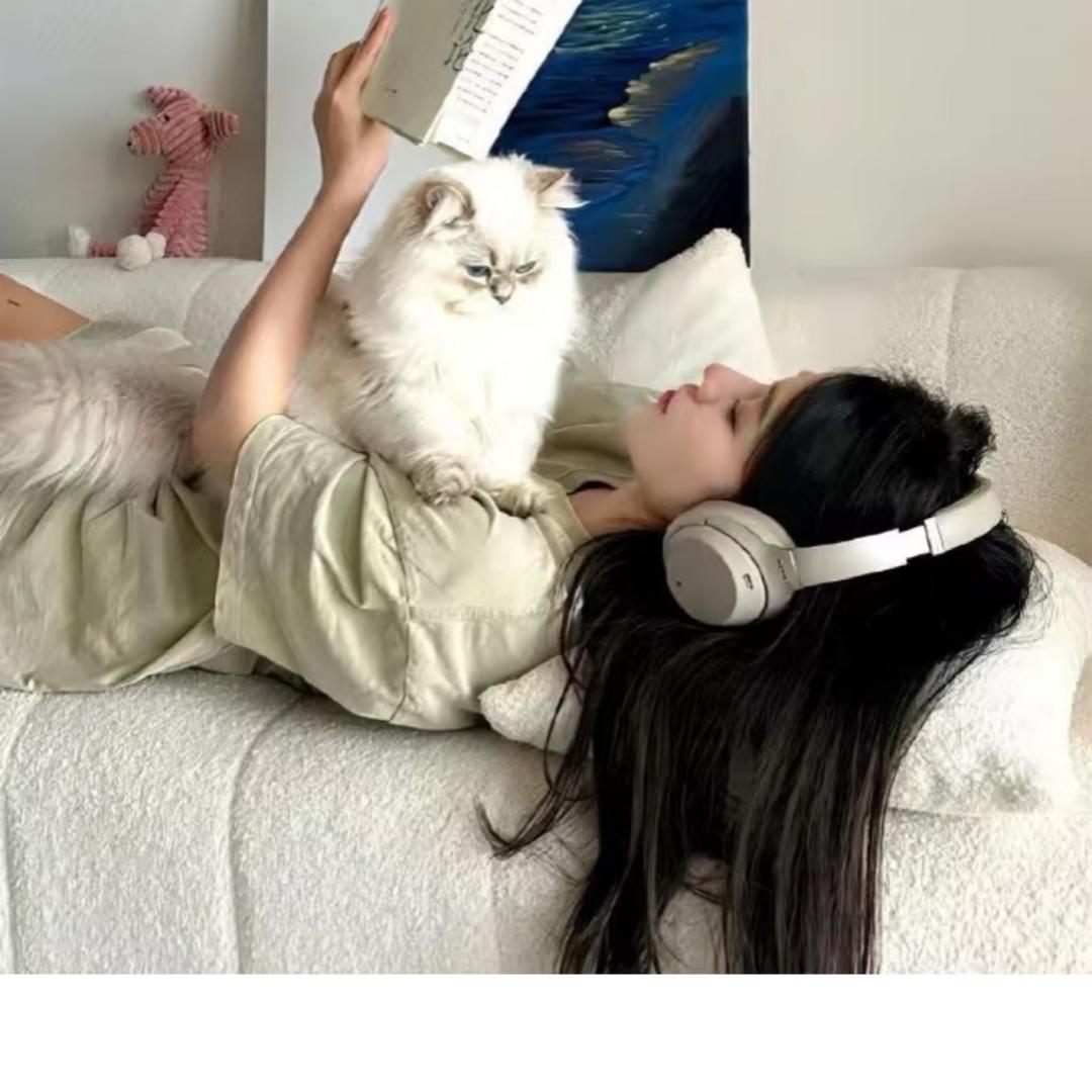 冬冬🐰