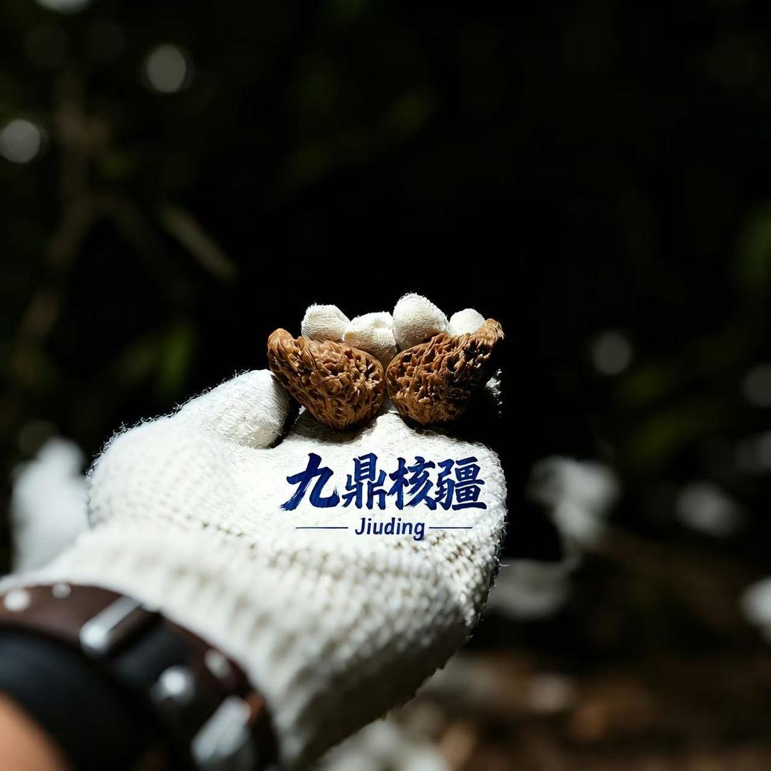 九鼎核疆🔥涿鹿南疆石