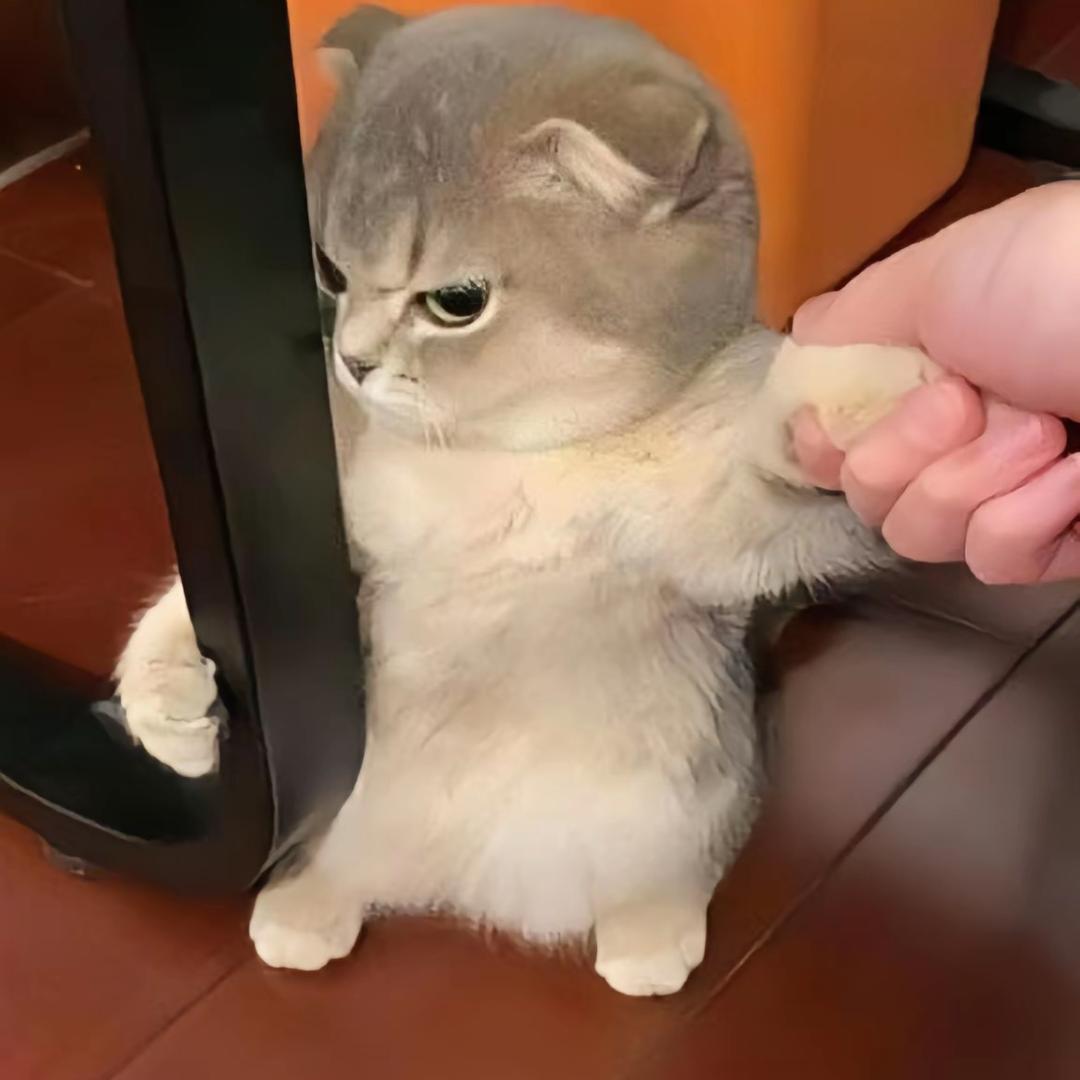 泽波