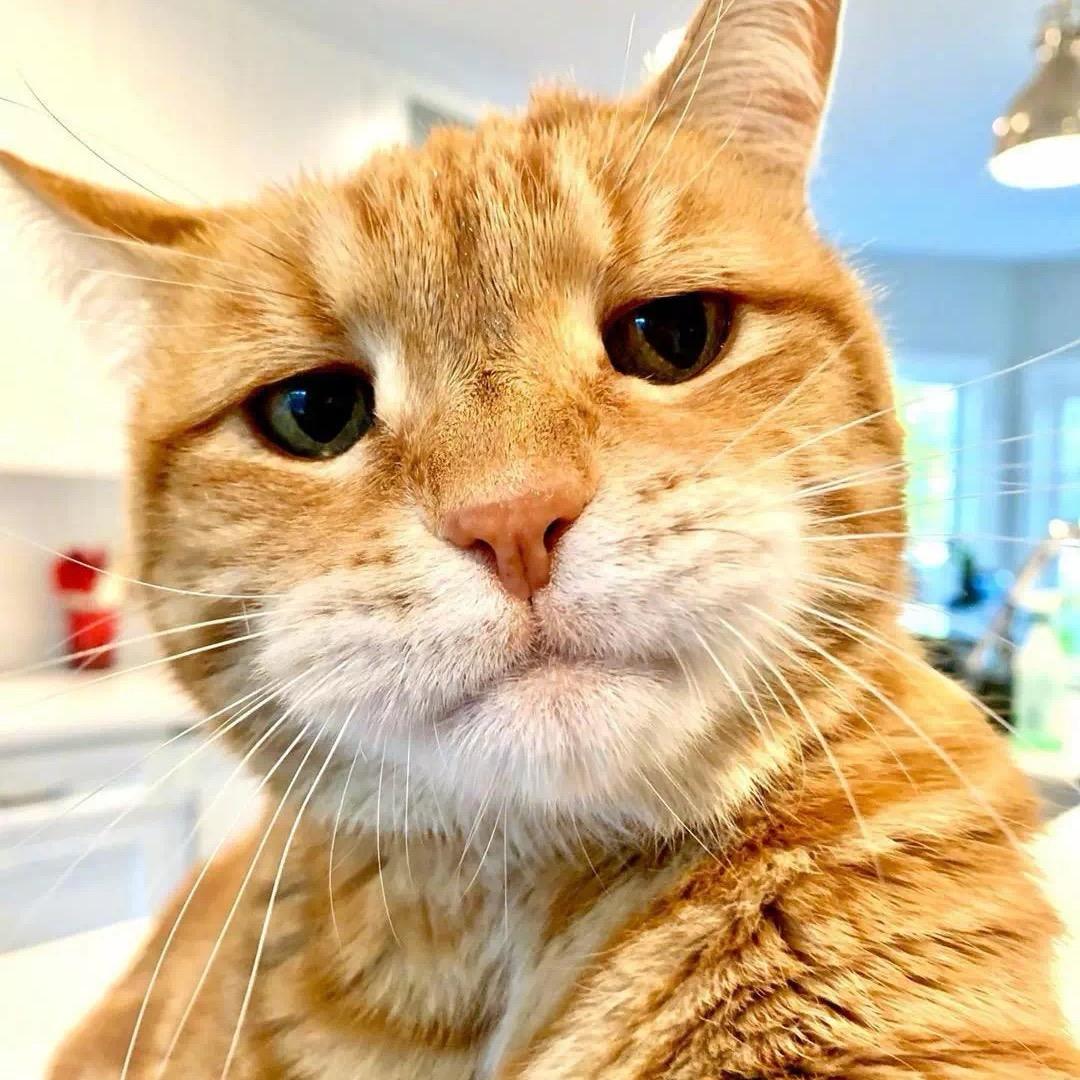 十里八乡大猛男