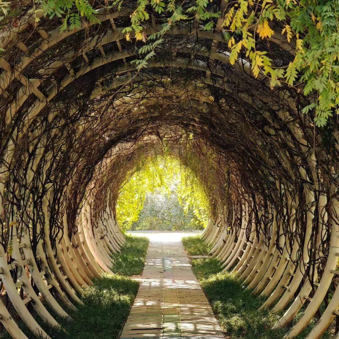 郑州若水美术-晶晶老师