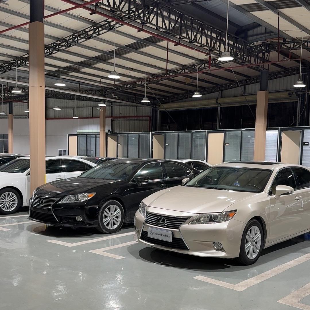 东莞（直播号）大头贵