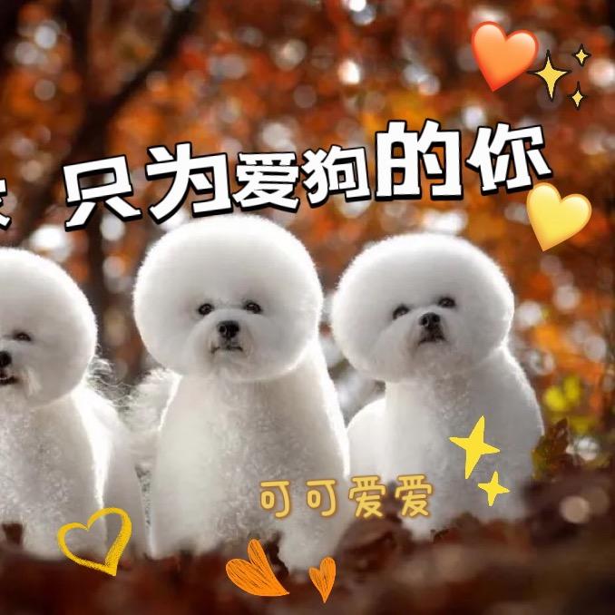 炫当家宠物旗舰店