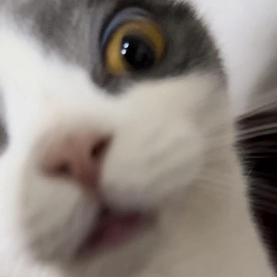 Nyanko