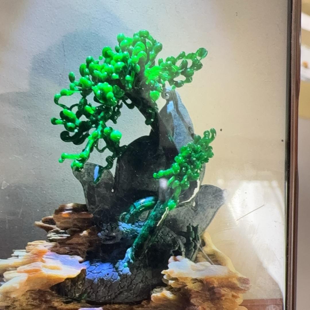 老尹进出口贸易