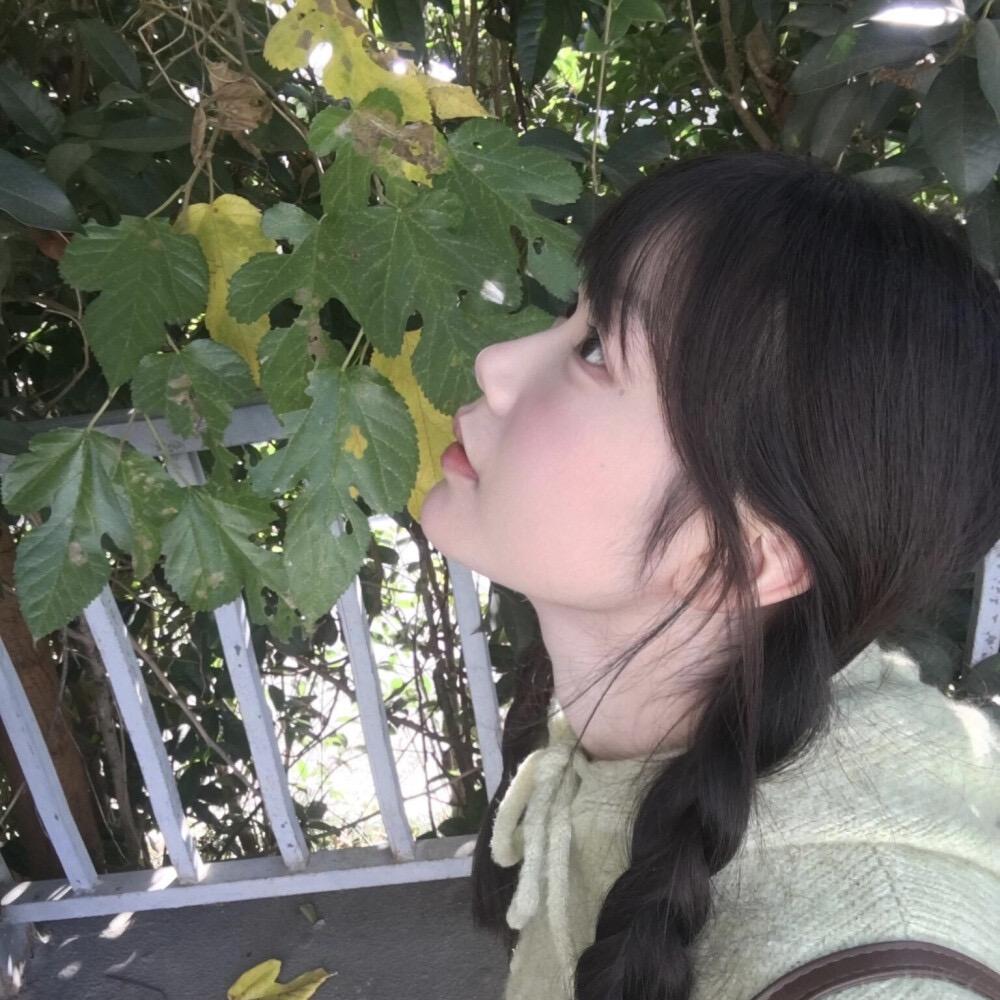 小可爱（单身）