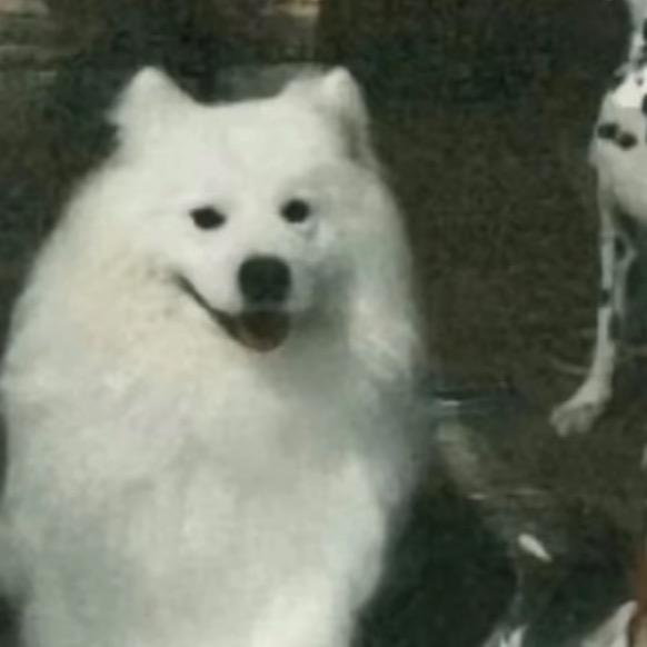 呼啦圈^