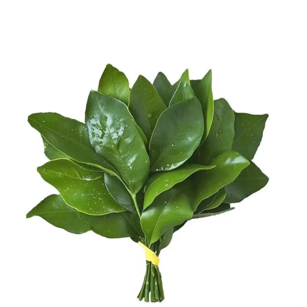 美羊羊